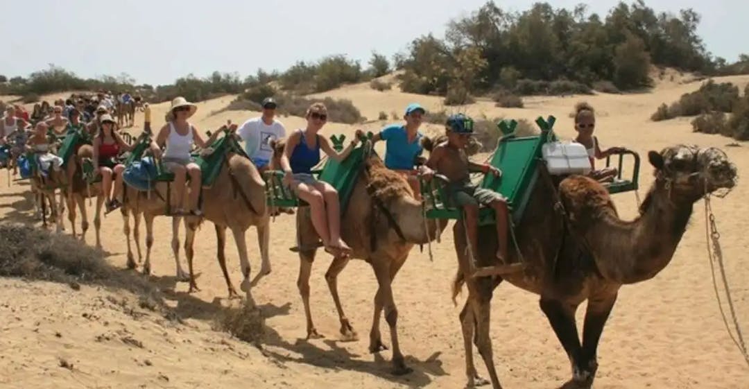 main image of the excursion Paseo guiado en camello por las dunas de Maspalomas
