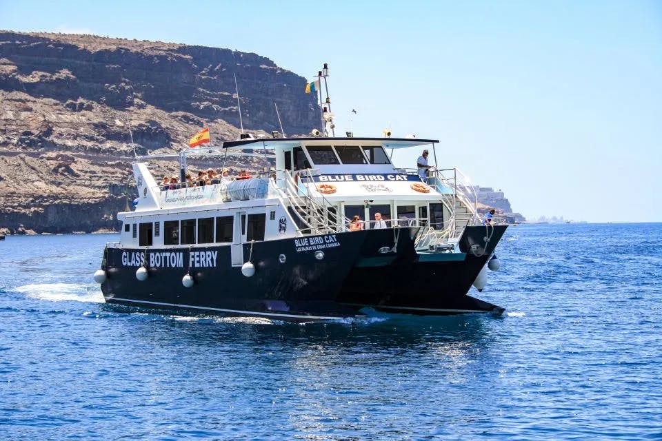 main image of the excursion Crucero en catamarán para avistar delfines y esnórquel