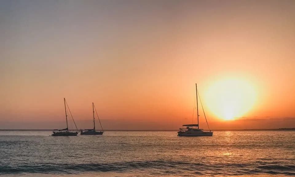 main image of the excursion Crucero al atardecer con avistamiento de delfines