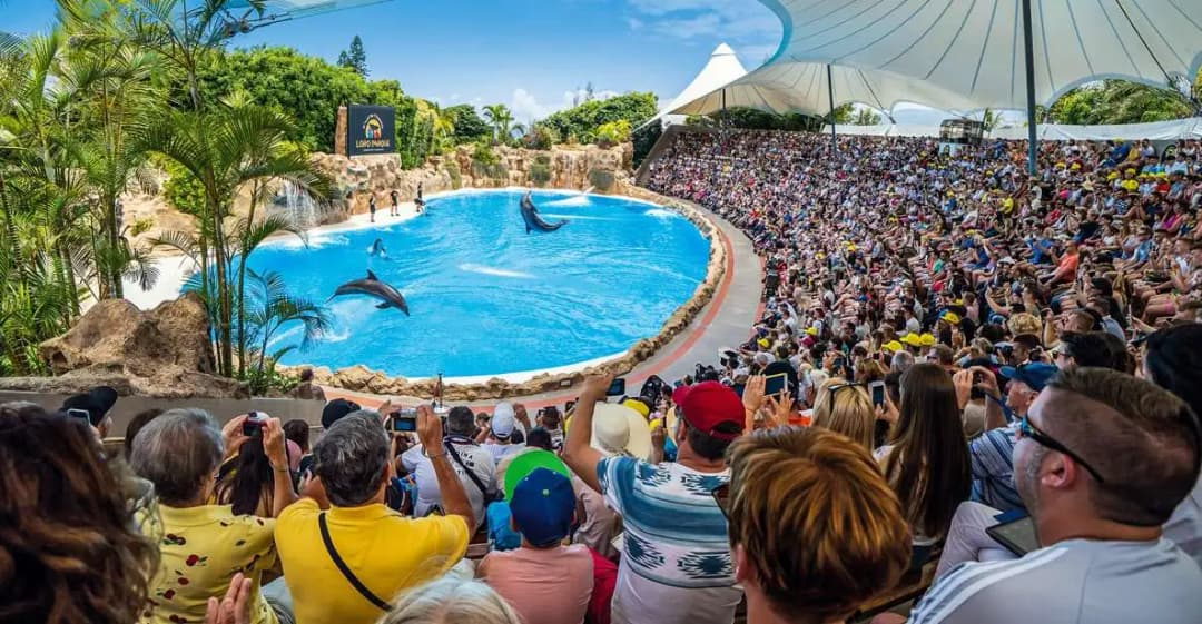 main image of the excursion Entrada Loro Parque en Tenerife