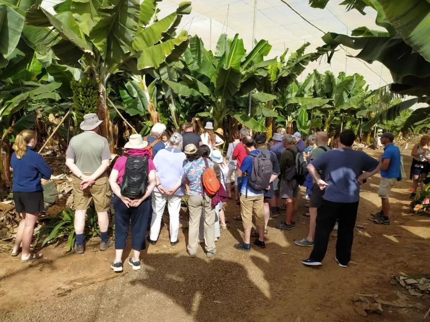 Thumbnail 2 of the excursion /tenerife/platanos/platanos3.webp