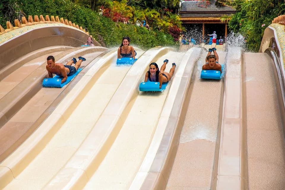 main image of the excursion /tenerife/siampark/siam1.webp