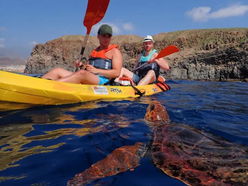 Thumbnail 1 of the excursion /tenerife/tortugas/tortugas2.webp