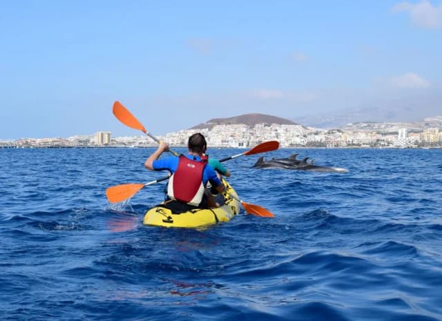 Thumbnail 3 of the excursion /tenerife/tortugas/tortugas4.webp