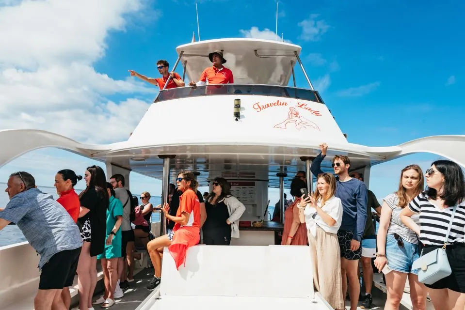 Thumbnail 1 of the excursion /tenerife/ballenas/ballena-tnf2.webp