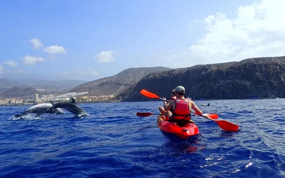 Thumbnail 2 of the excursion /tenerife/tortugas/tortugas3.webp